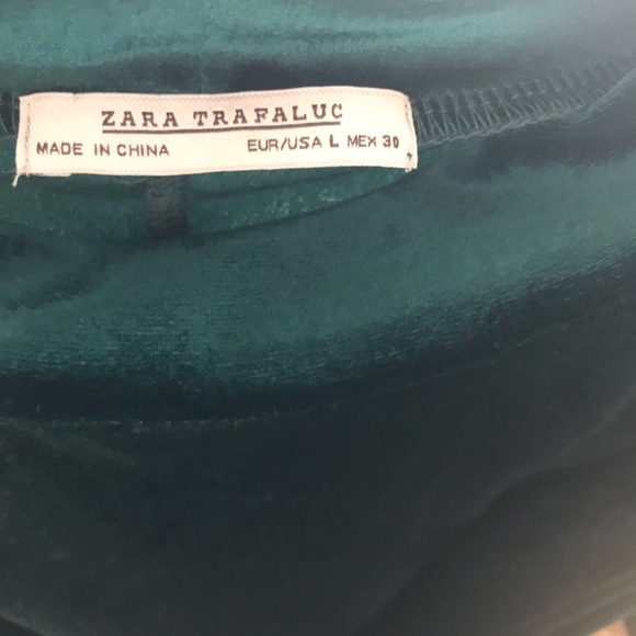 Zara Velvet Dress - Picture 6 of 6